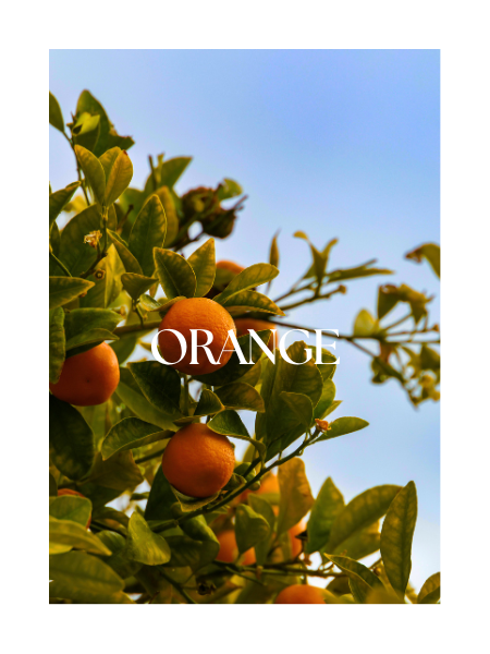 Oranges