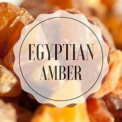 Egyptian Amber Fragrance Oil