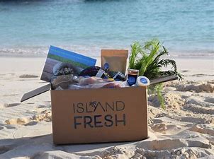Island Fresh Fragrance Oil