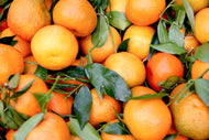 Oranges